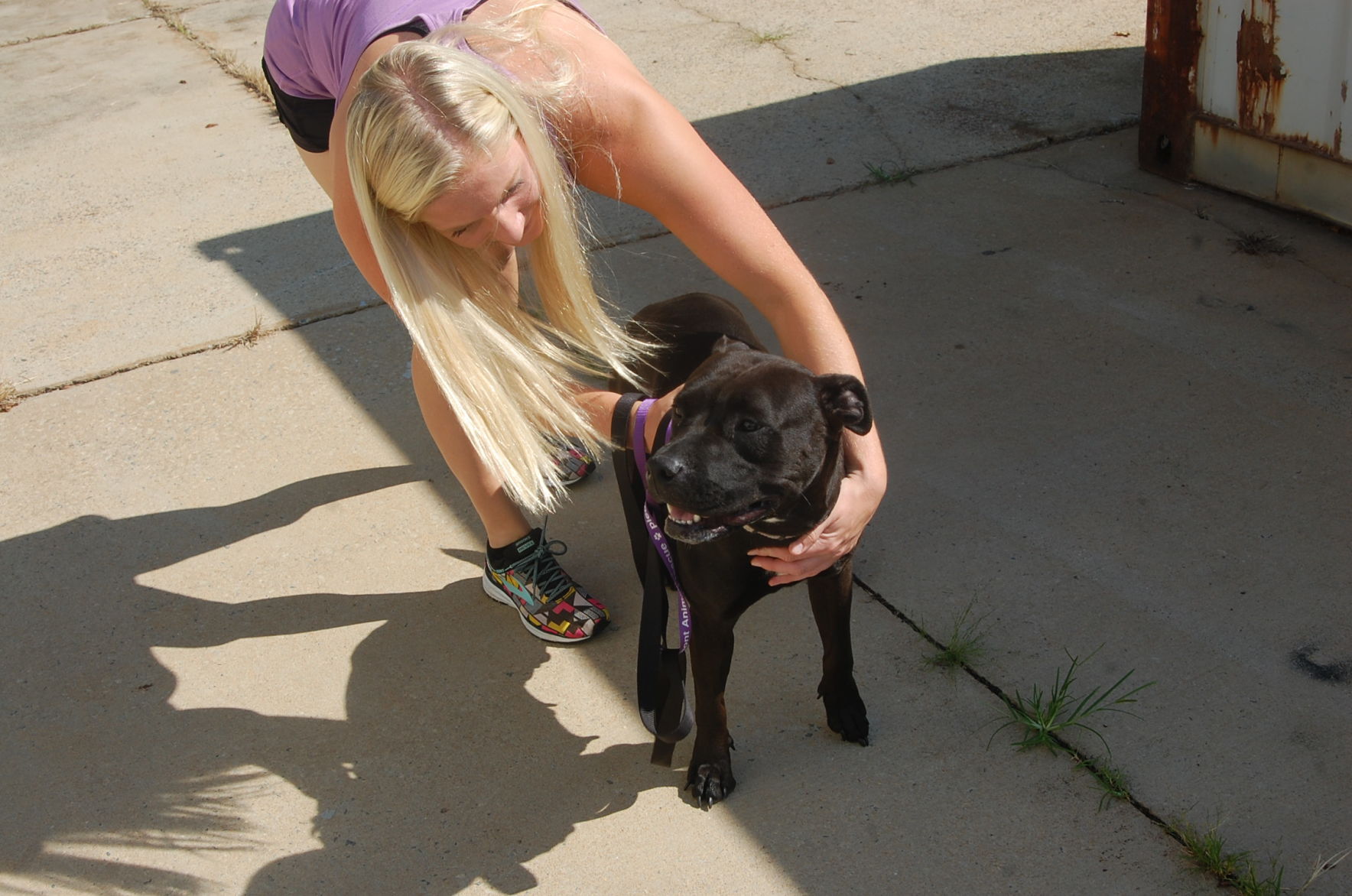 Piedmont animal rescue (23).JPG